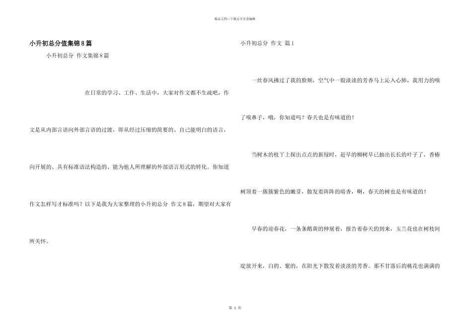 小升初满分集锦8篇_第1页
