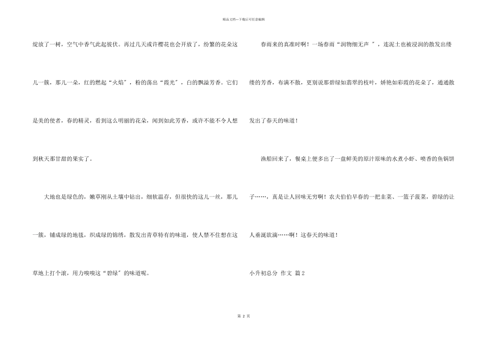 小升初满分集锦8篇_第2页