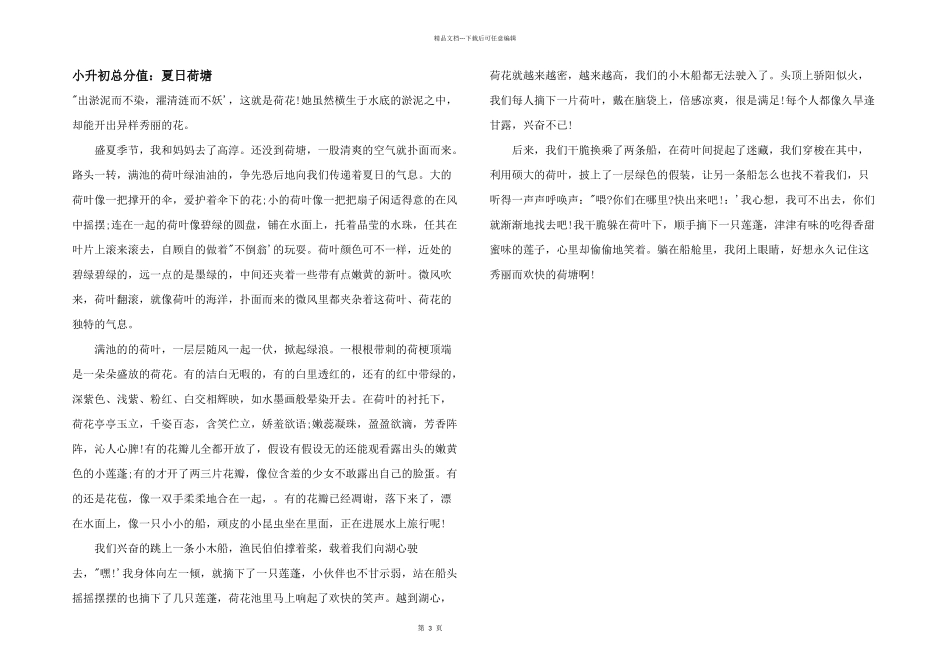 小升初满分：夏日荷塘_第1页