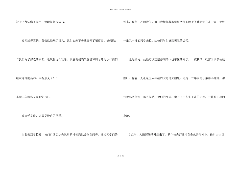 小学二年级300字合集9篇_第2页