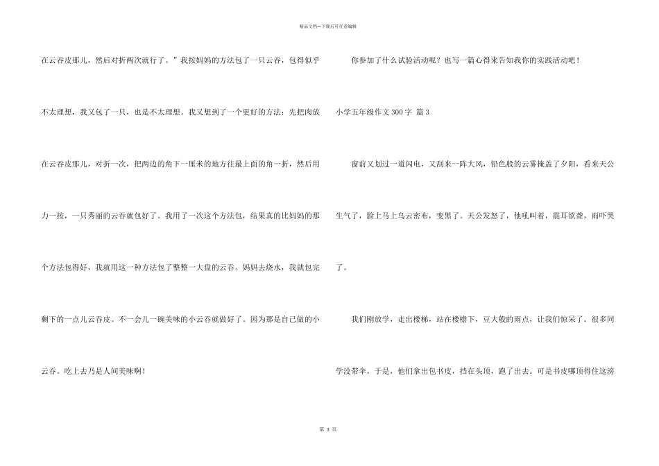 小学五年级300字合集九篇_第3页