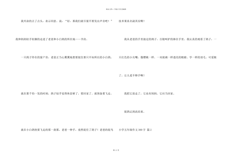 小学五年级300字锦集九篇_第2页