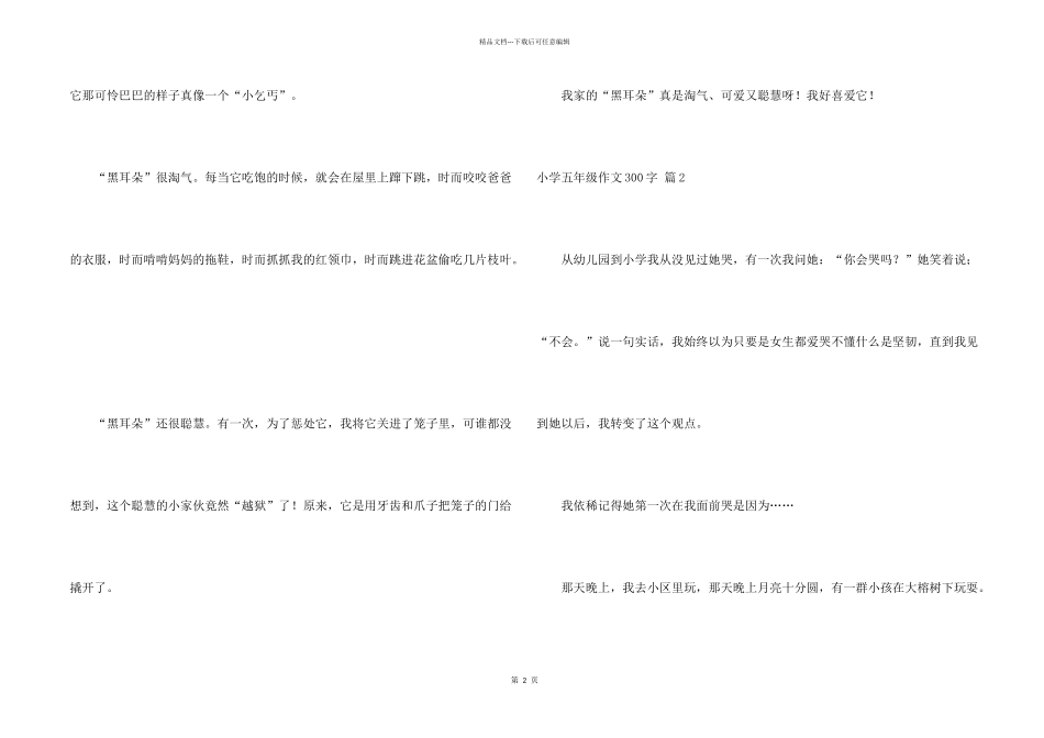 小学五年级300字集锦10篇_第2页