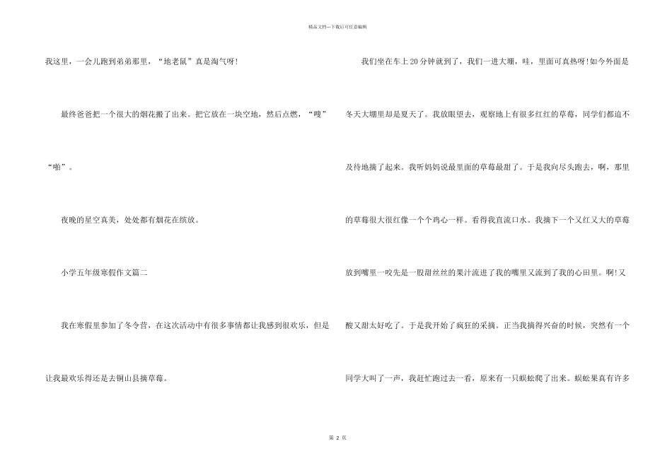 小学五年级寒假五篇2024_第2页