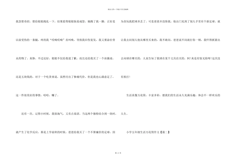 小学五年级生活万花筒_第2页