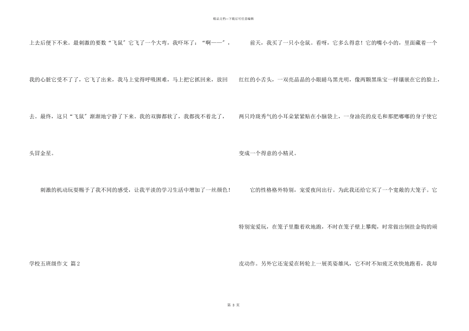 小学五年级锦集九篇_第3页