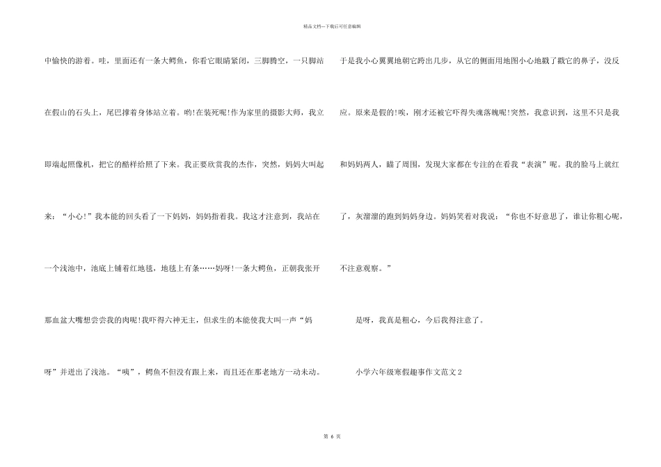 小学六年级寒假趣事_第2页