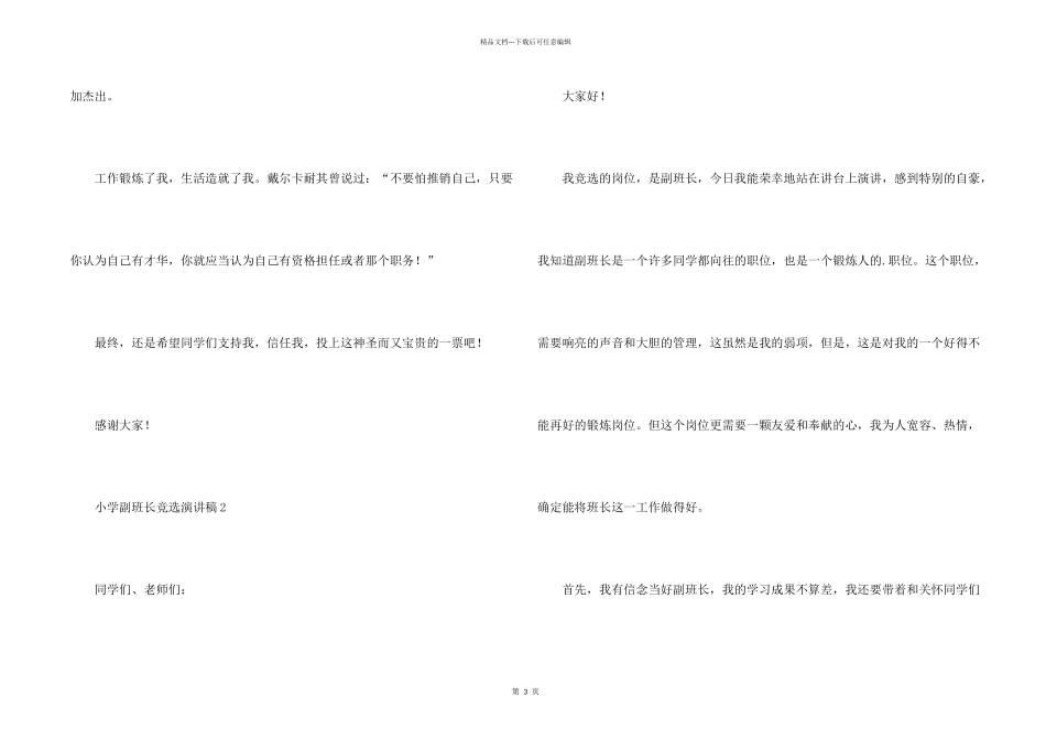 小学副班长竞选演讲稿_第2页