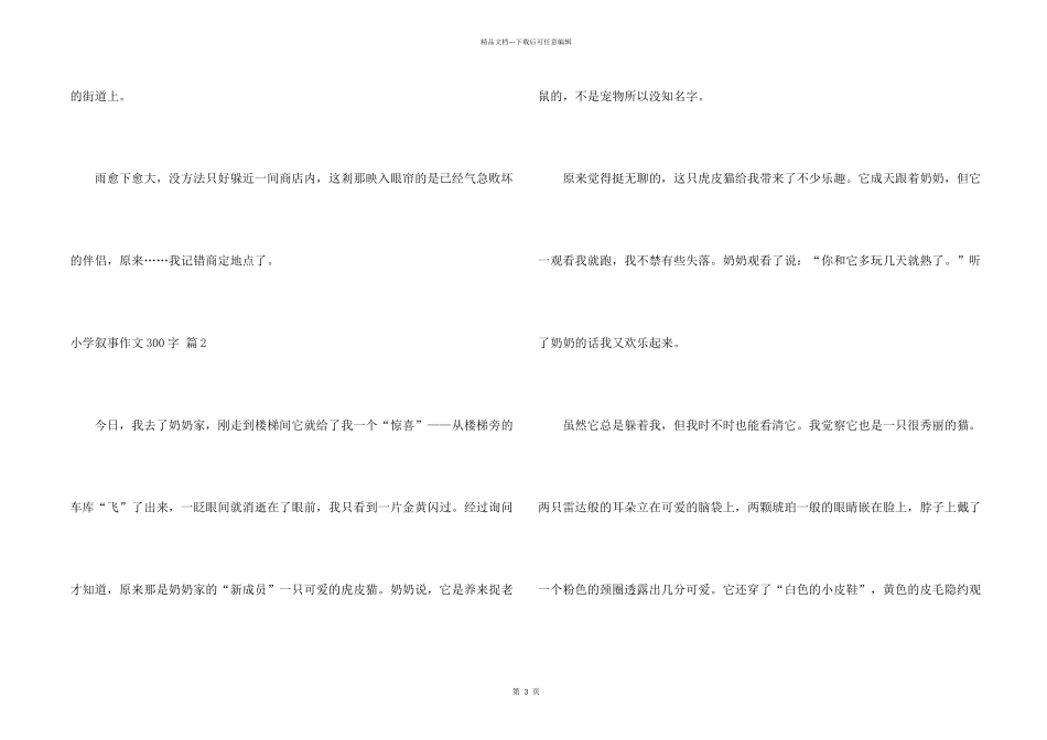 小学叙事300字3篇_第2页