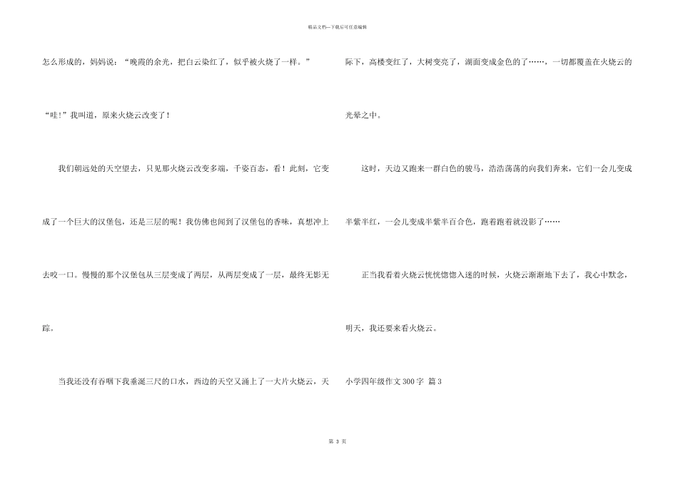 小学四年级300字集锦九篇_第3页