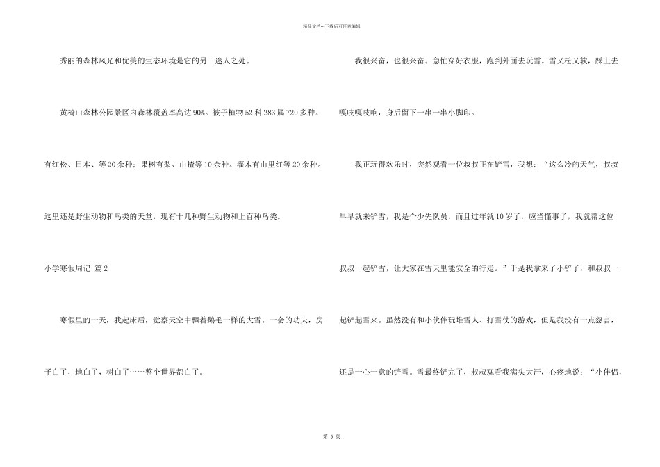 小学寒假周记模板集合7篇_第2页