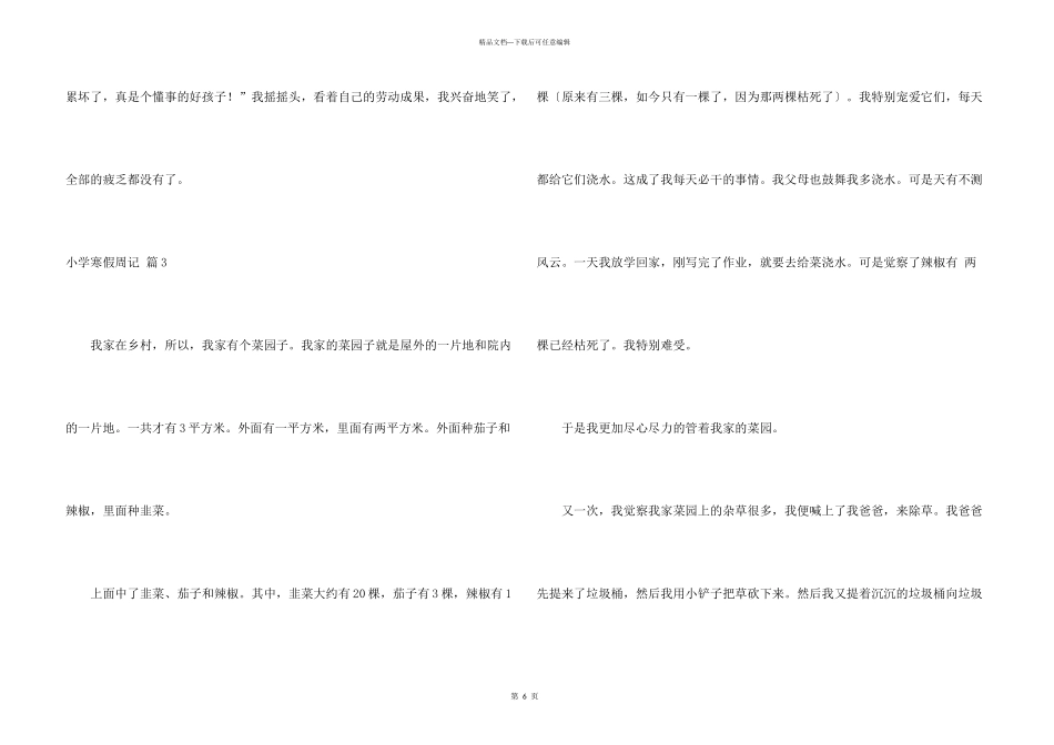 小学寒假周记模板集合7篇_第3页