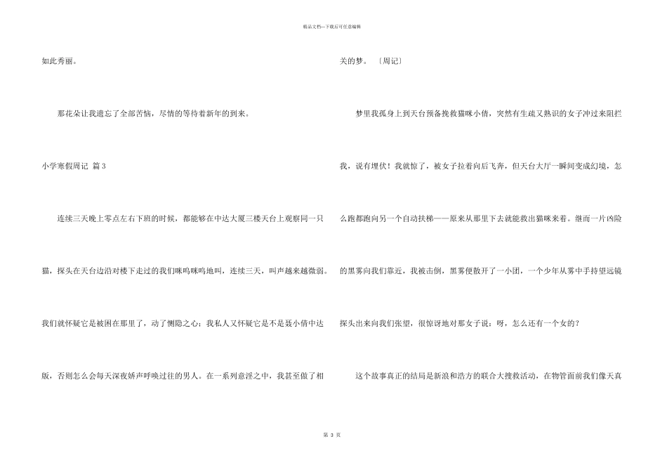 小学寒假周记模板集锦六篇_第3页