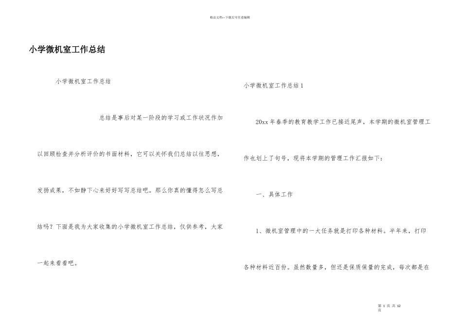 小学微机室工作总结_第1页