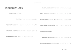 小学新教师培训学习心得体会