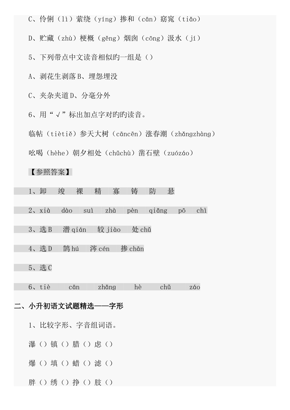 2025年新版小升初语文总复习资料汇总_第2页