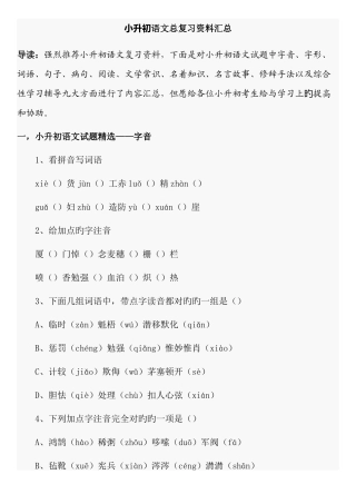2025年新版小升初语文总复习资料汇总