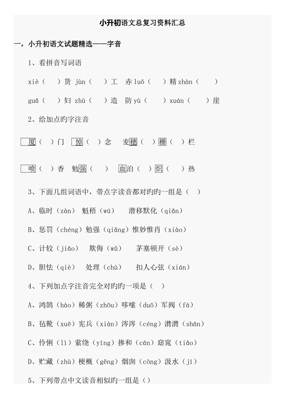 2025年新版小升初语文总复习资料_第1页