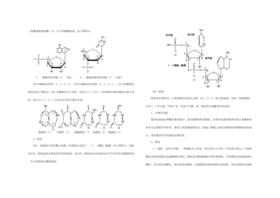 2025年生物竞赛知识点_第3页