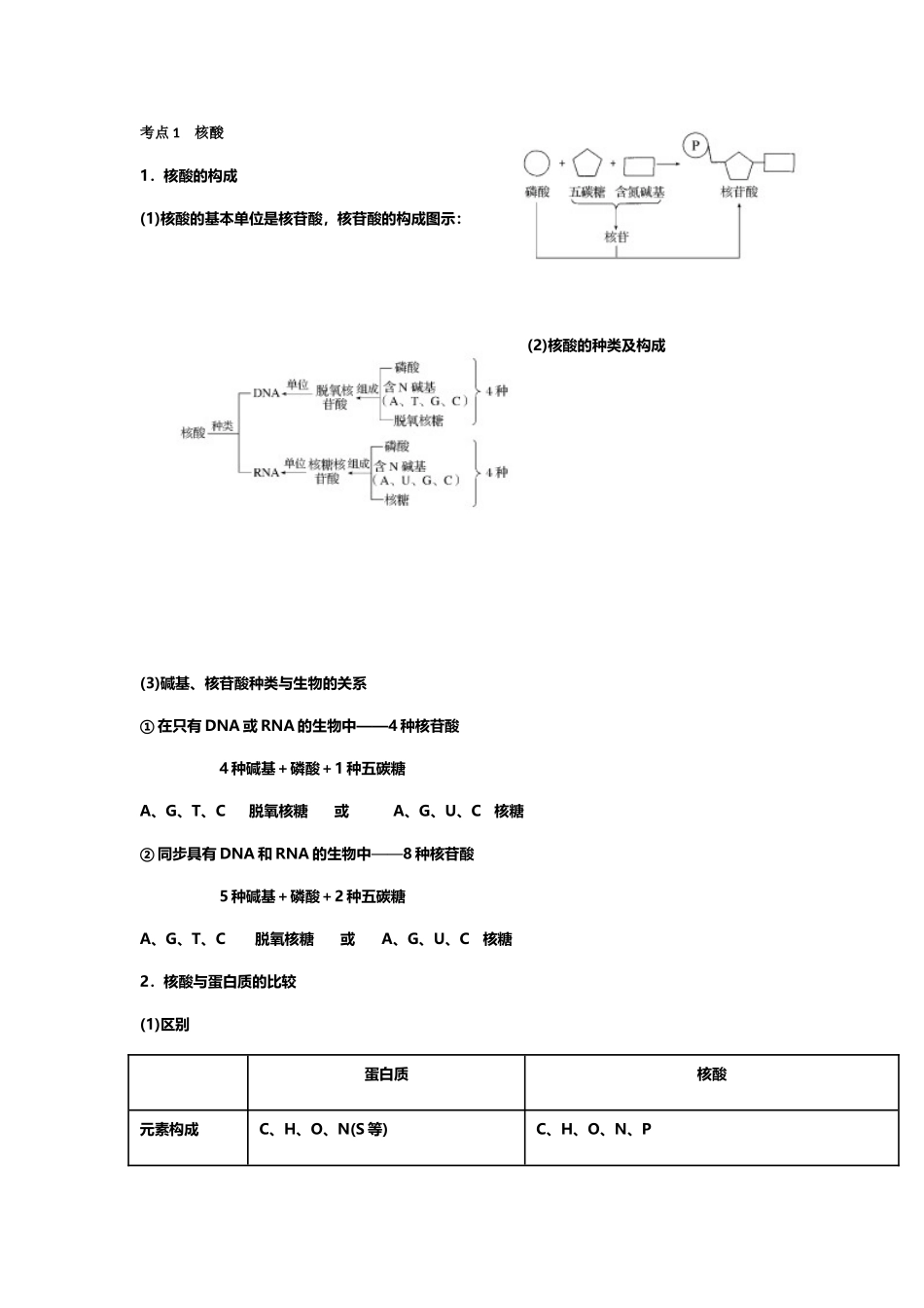 2025年2.3遗传信息的携带者核酸知识点_第1页