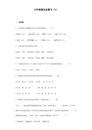 2025年语文小升初知识专项训练复习试卷及答案解析