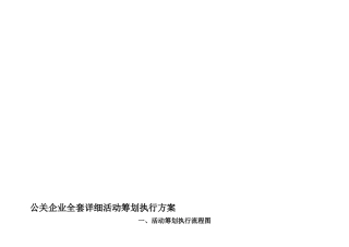 2025年公关公司全套详细活动策划执行方案