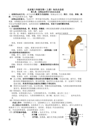 2025年北京版八级生物上册知识点总结资料讲解