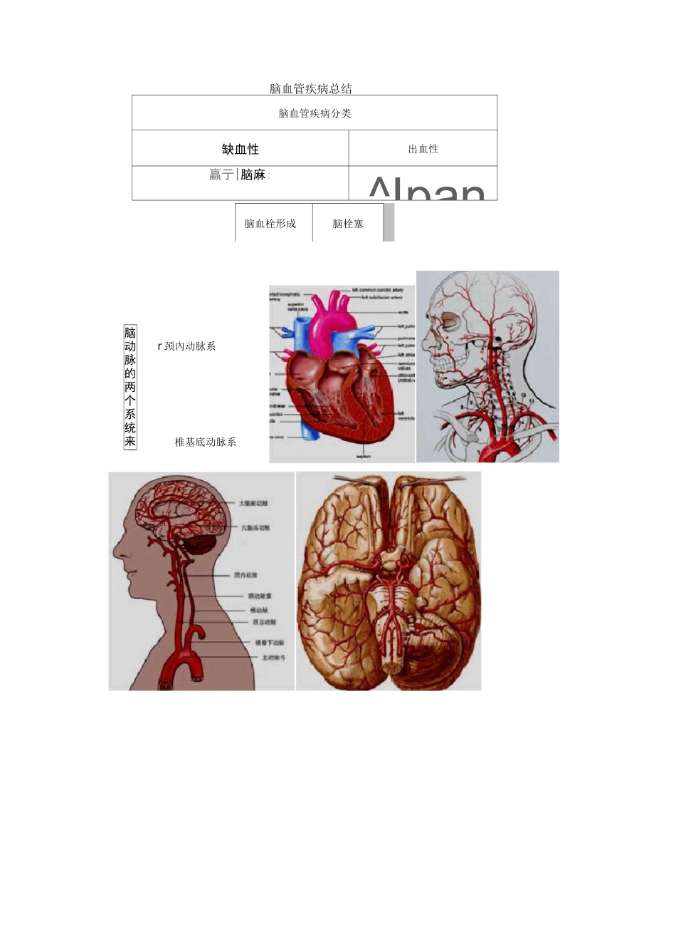 脑血管疾病总结_第1页