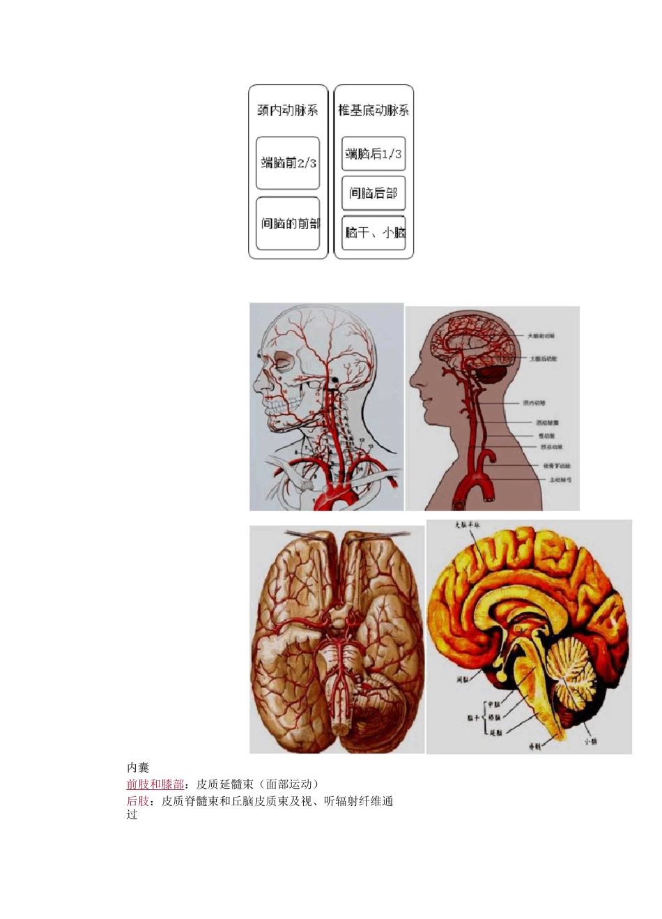 脑血管疾病总结_第2页