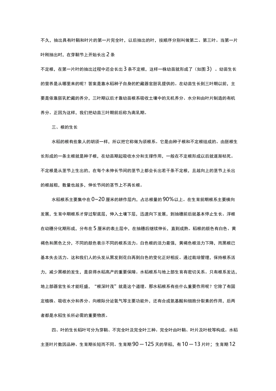 《水稻的一生》_第2页