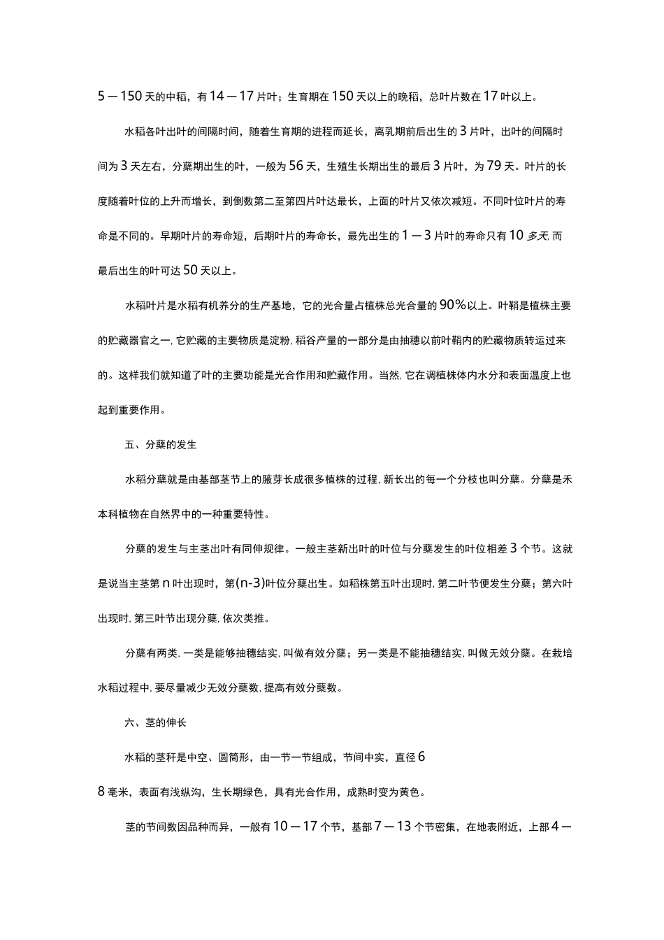 《水稻的一生》_第3页