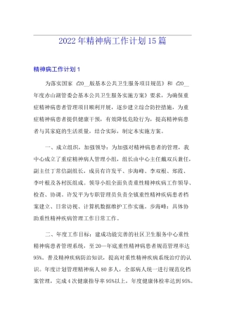 2022年精神病工作计划15篇