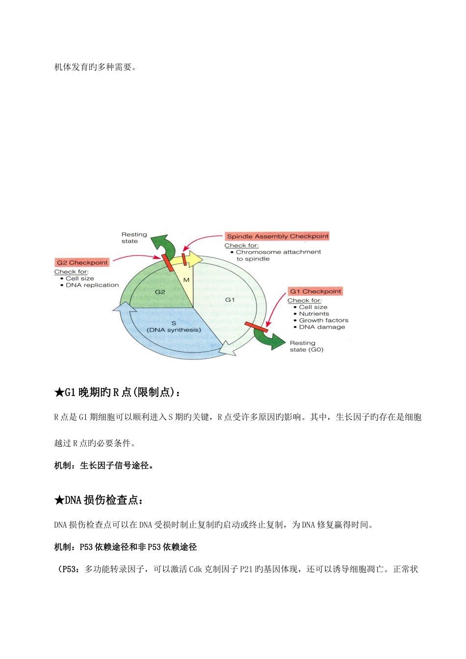 2025年细胞周期细胞生物学知识点总结_第3页