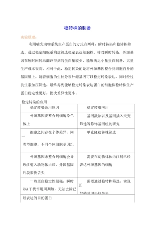维真生物-稳转株的制备