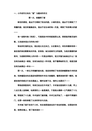 2025年小升初作文题型范文