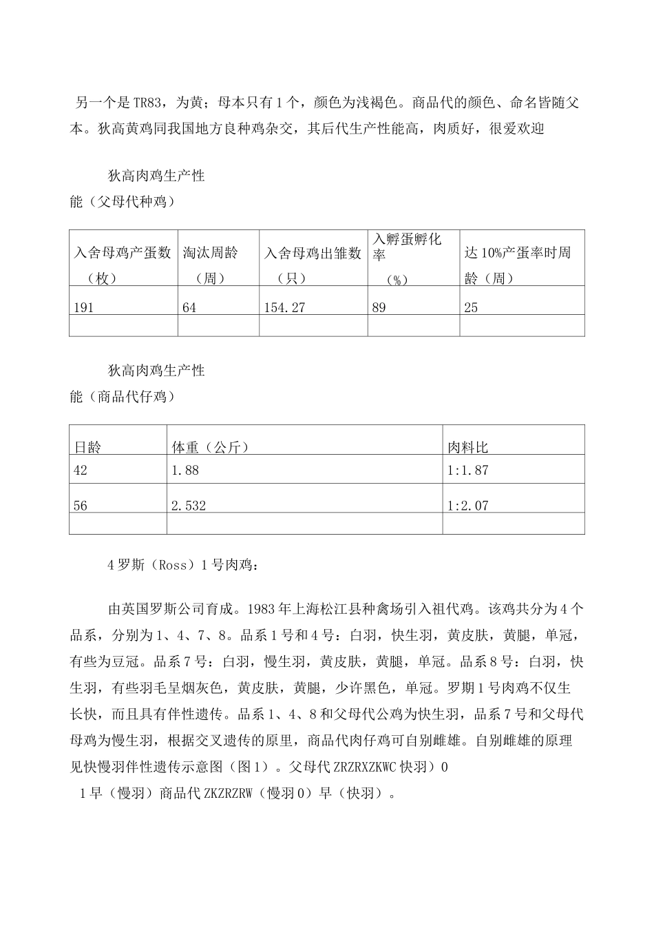 常见肉鸡品种的知识的简介_第3页