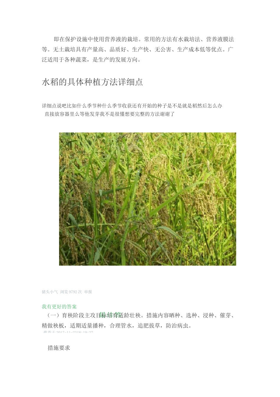 蔬菜种植技术_第3页