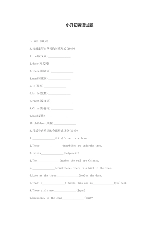 2025年小升初英语试卷