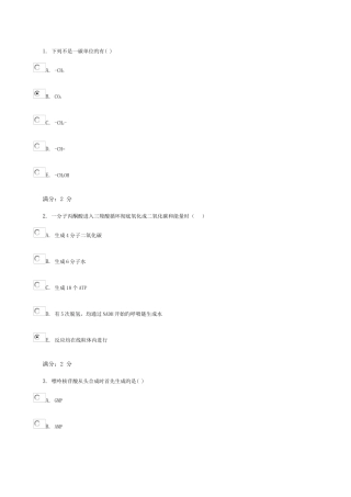 2025年电大医学生物化学形成性考核任务试卷答案