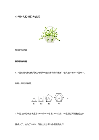 2025年小升初名校模拟考试题