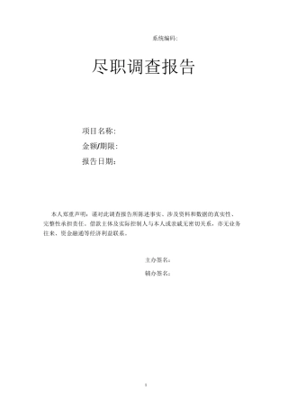 合作方尽调模板-空白