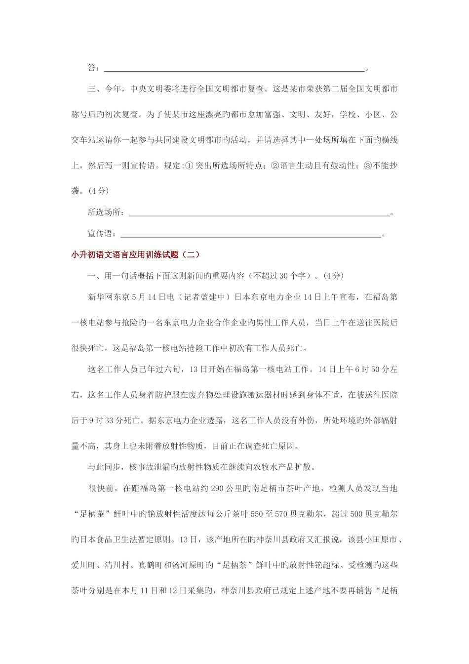 2025年小升初语文语言应用训练试题_第2页