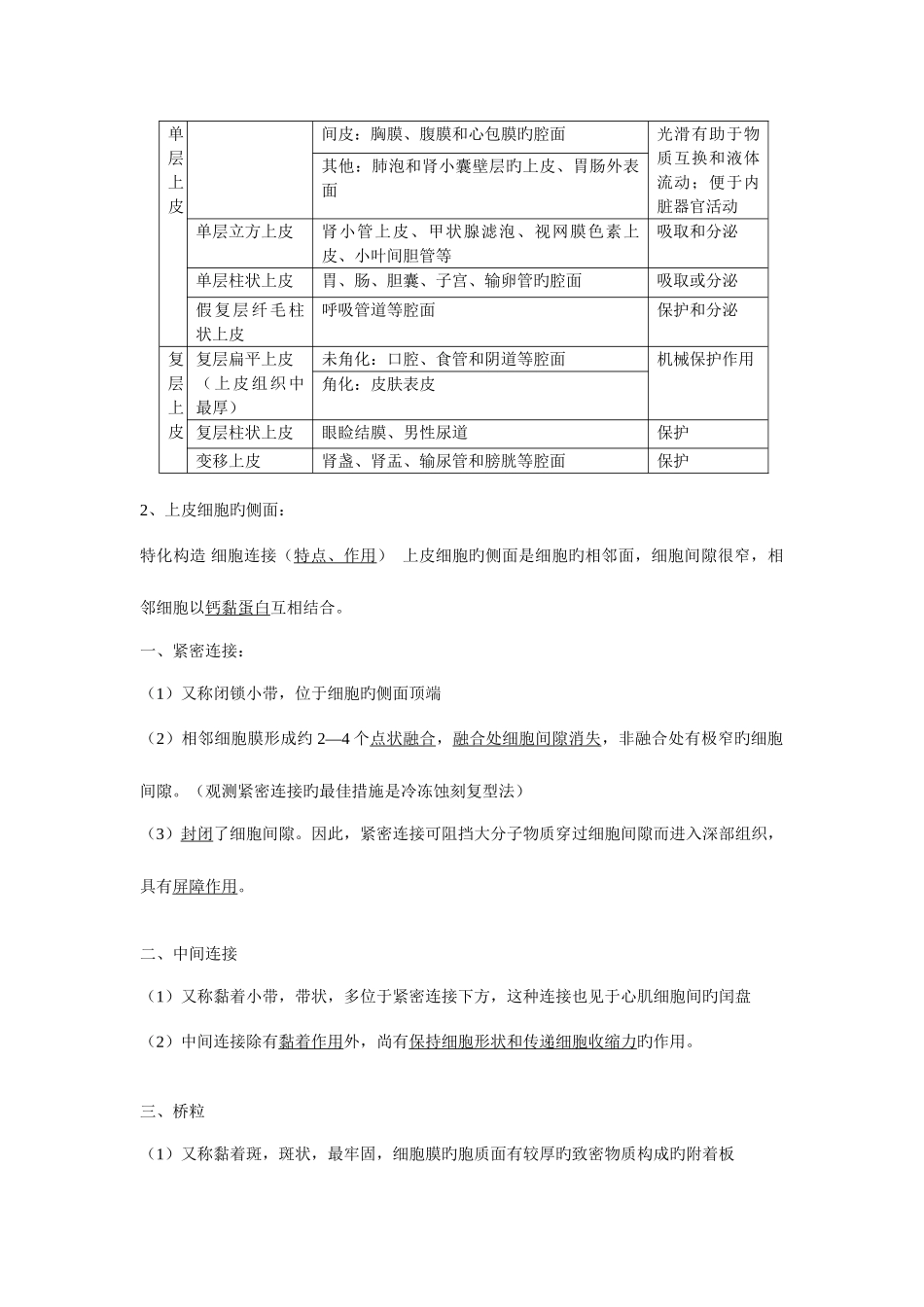 2025年组织学与胚胎学重点知识点归纳_第2页