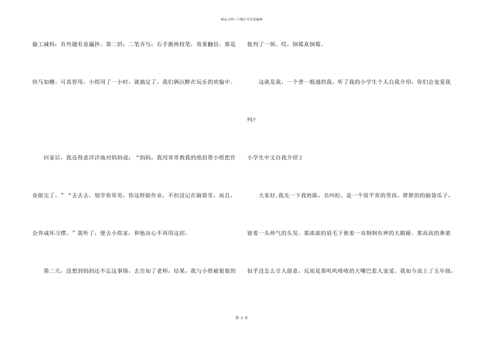 小学生中文自我介绍_第2页