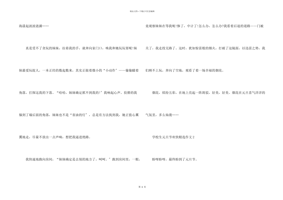 小学生元旦节快乐5篇_第2页