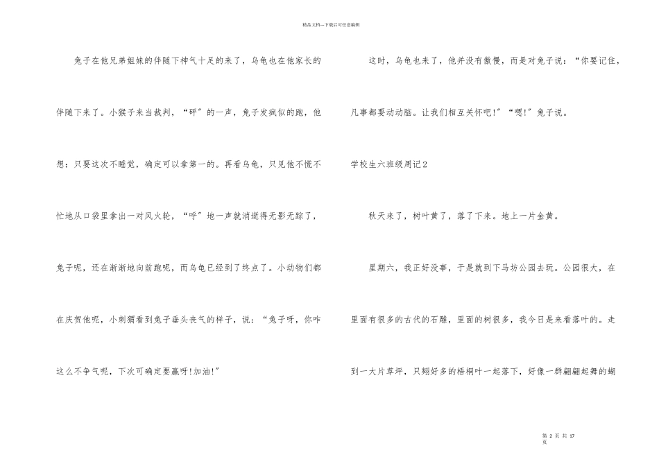 小学生六年级周记_第2页