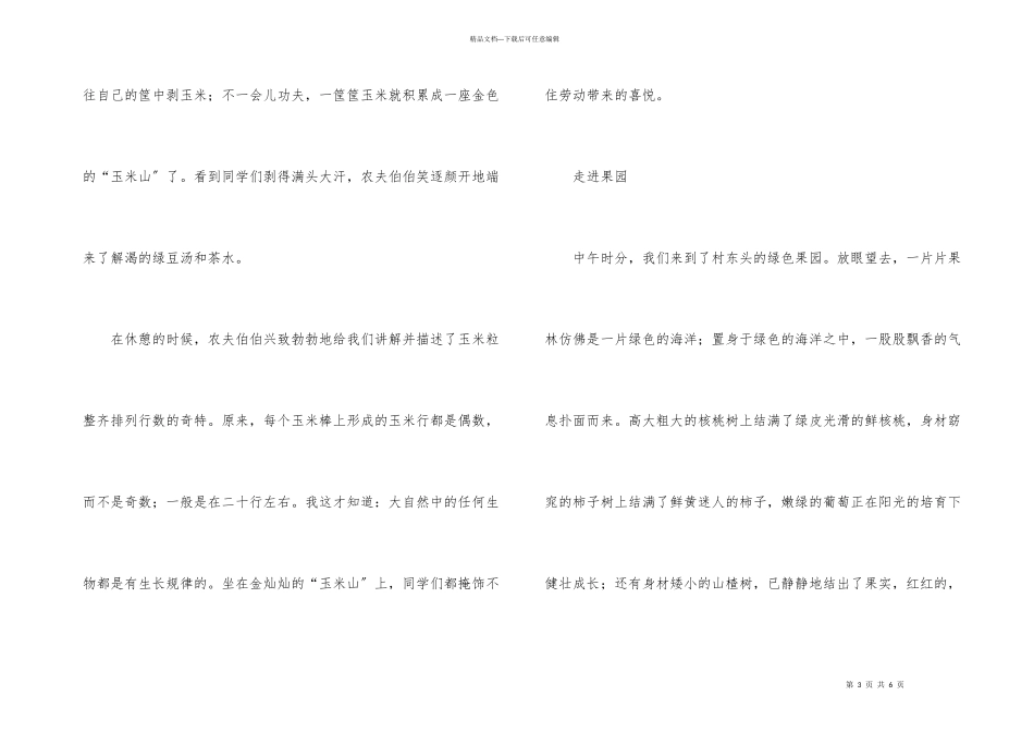 小学生国庆优秀征文_第3页