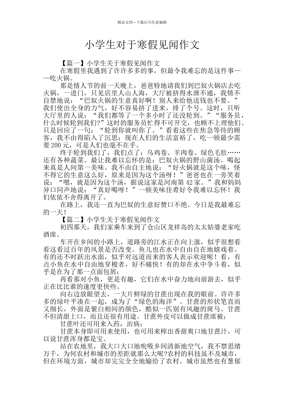 小学生对于寒假见闻作文_第1页