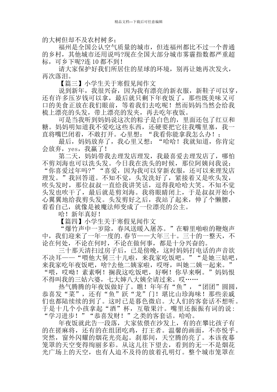 小学生对于寒假见闻作文_第2页