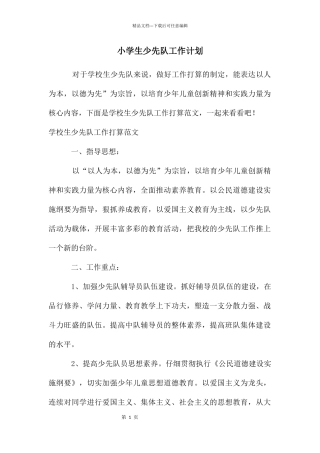 小学生少先队工作计划